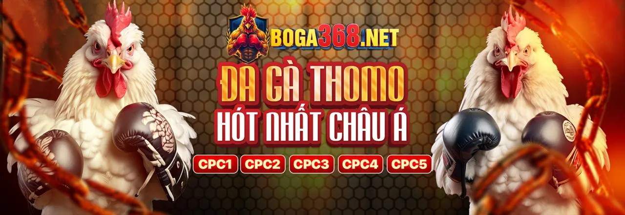 Khuyến Mãi Hấp Dẫn 88hq